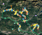Guida Spettatori | Rally 1000 Miglia